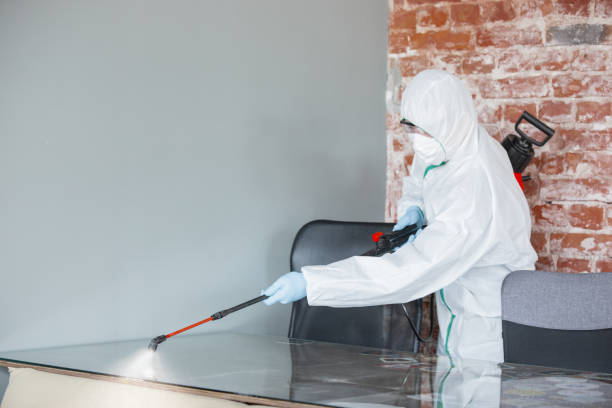 Trusted Moorpark, CA Mold Removal Experts